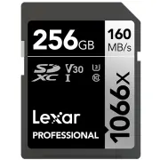 Carte mémoire LEXAR 1120036